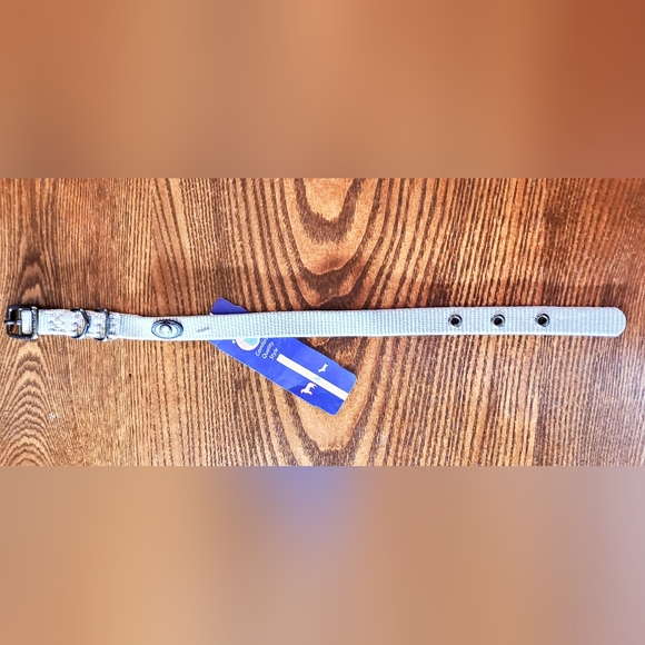 2 /$15 Hamilton Dog Collar Metal Buckle 16" Tag reads Amethyst - Picture 3 of 8